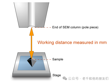 扫描电镜（SEM）操作指南：如何获得高质量的图片