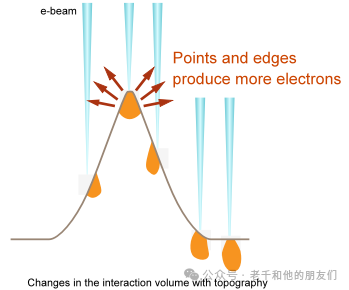 扫描电镜（SEM）操作指南：如何获得高质量的图片