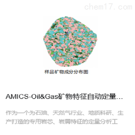 AMICS-OilGas矿物特征自动定量分析系统